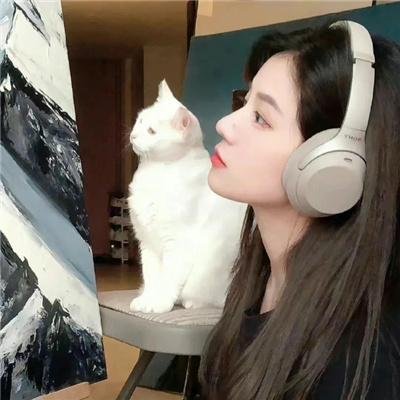 一飞冲天